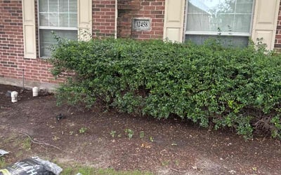 Photo of Charles Y.'s yard after getting landscaping in Frisco, TX