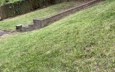 Photo of Deborah C.'s yard after getting landscaping in Spotsylvania, VA