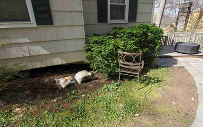 Photo of Jessica P.'s yard after getting landscaping in Conshohocken, PA