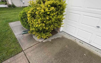 Photo of Jessica W.'s yard after getting landscaping in Indianapolis, IN