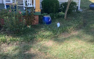 Photo of Kim A.'s yard after getting landscaping in Timberlake, NC