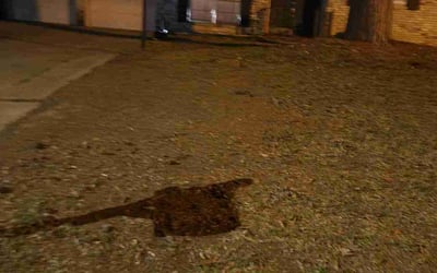 Photo of Gary B.'s yard after getting landscaping in Shreveport, LA
