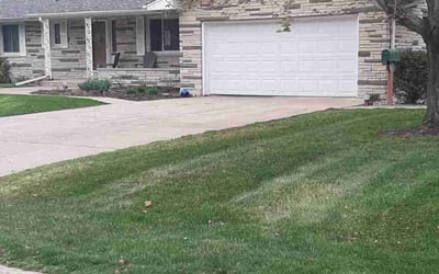 Photo of Dan R.'s yard after getting landscaping in Maple Lake, MN