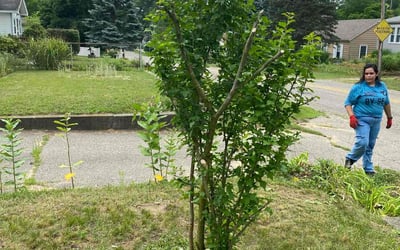 Photo of Robin M.'s yard after getting landscaping in Spring Lake, MI