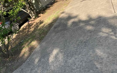 Photo of Kim B.'s yard after getting landscaping in Manor, TX