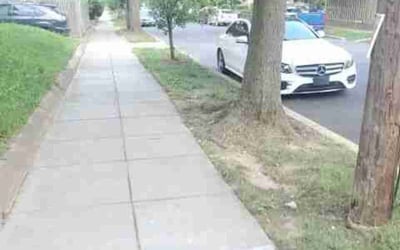 Photo of Robert H.'s yard after getting landscaping in Lignum, VA