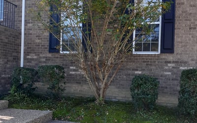 Photo of Jordan W.'s yard after getting landscaping in White Bluff, TN