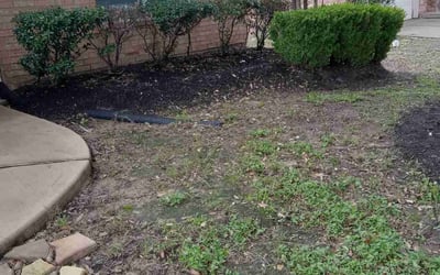 Photo of Jack E.'s yard after getting tree care in Conroe, TX