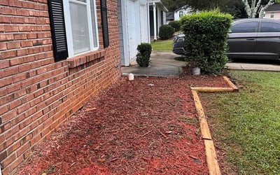Photo of Dylan M.'s yard after getting landscaping in Williamson, GA