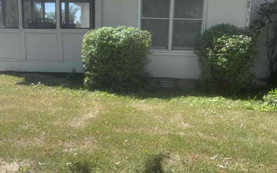 Photo of Sean T.'s yard after getting landscaping in Lawson, MO