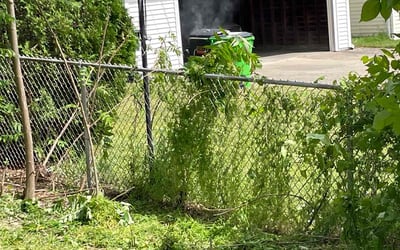 Photo of Miguel M.'s yard after getting landscaping in Madison, OH