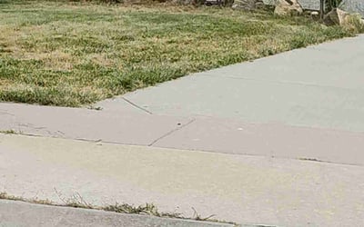 Photo of Mark D.'s yard after getting landscaping in Georgetown, CO