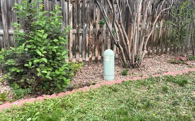 Photo of Matt H.'s yard after getting landscaping in Littleton, CO