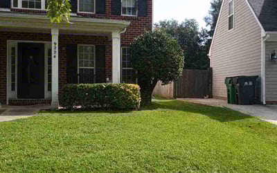 Photo of Mary S.'s yard after getting landscaping in Vale, NC