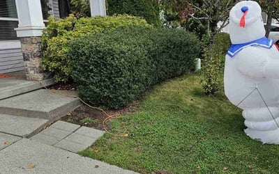 Photo of Larry H.'s yard after getting landscaping in Fall City, WA
