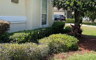 Photo of James L.'s yard after getting tree care in Orange Park, FL