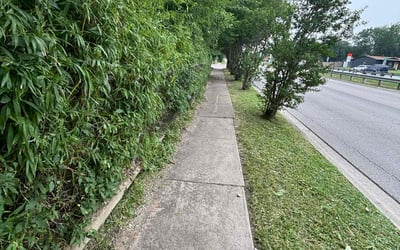 Photo of Kim J.'s yard after getting landscaping in Dallas, TX