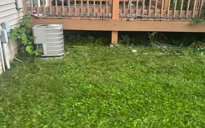 Photo of Joy M.'s yard after getting tree care in Brainerd, MN