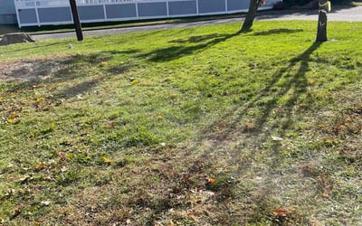 Photo of Tonya M.'s yard after getting landscaping in Williamstown, NJ
