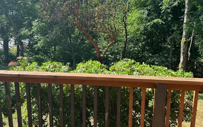 Photo of Peter B.'s yard after getting landscaping in Happy Valley, OR