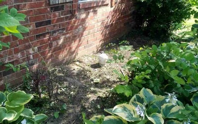 Photo of Megan M.'s yard after getting landscaping in Senatobia, MS