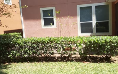 Photo of Jon B.'s yard after getting landscaping in Hilliard, FL