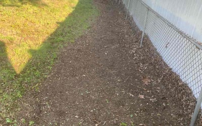 Photo of Michelle W.'s yard after getting landscaping in Marlton, NJ