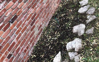 Photo of Aaron C.'s yard after getting landscaping in Tulsa, OK