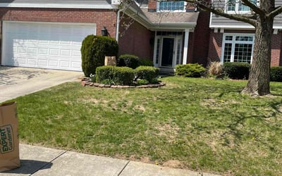 Photo of Michael K.'s yard after getting landscaping in Carmel, IN