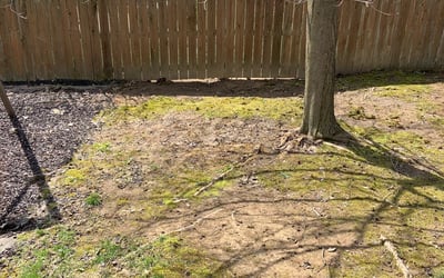 Photo of Jennifer W.'s yard after getting landscaping in Ashville, OH