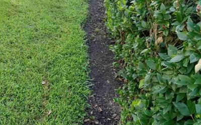 Photo of Mike B.'s yard after getting landscaping in Orchard, TX