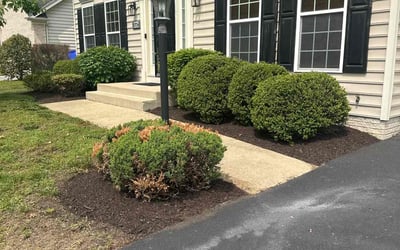 Photo of Gregory E.'s yard after getting landscaping in Marshall, VA
