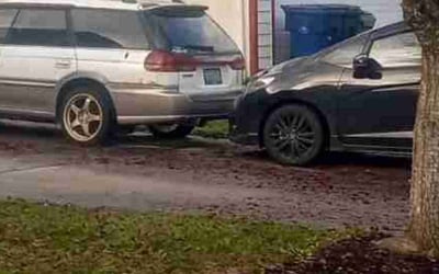 Photo of Angelica R.'s yard after getting tree care in Cheney, WA