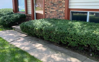 Photo of Lindsey M.'s yard after getting lawn care in Oshkosh, WI