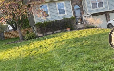 Photo of Christina P.'s yard after getting landscaping in Creighton, MO
