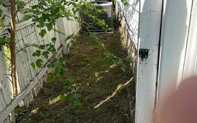 Photo of Karen S.'s yard after getting landscaping in Princeton, NJ