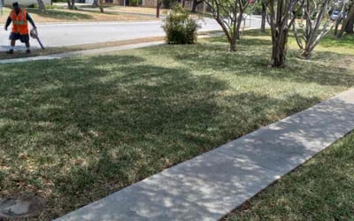 Photo of Charles L.'s yard after getting landscaping in Macdona, TX