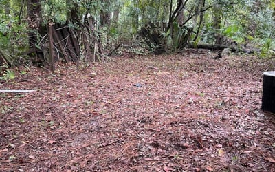 Photo of Misty A.'s yard after getting landscaping in Alachua, FL