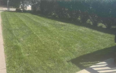 Photo of Kevin G.'s yard after getting landscaping in Elmwood, WI