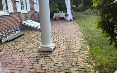 Photo of savannah L.'s yard after getting tree care in Wilmington, DE
