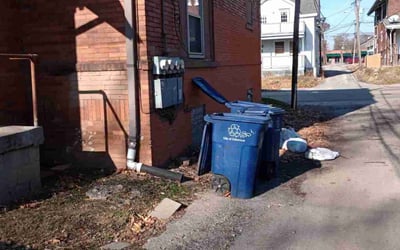 Photo of Robert C.'s yard after getting landscaping in Tarlton, OH