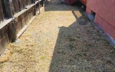 Photo of Erin M.'s yard after getting landscaping in Valley Center, CA