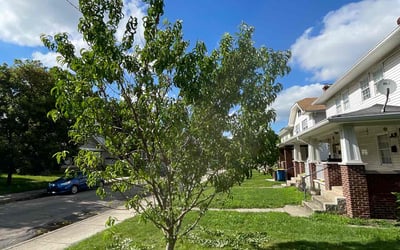 Photo of Elizabeth S.'s yard after getting landscaping in Danville, IN