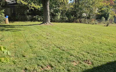 Photo of Bryan B.'s yard after getting landscaping in Shelbyville, KY