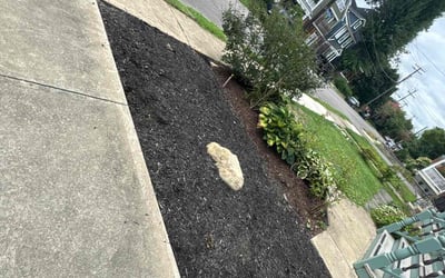 Photo of Elizabeth L.'s yard after getting landscaping in Cranberry Twp, PA
