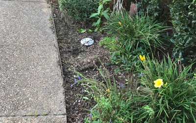 Photo of Allison D.'s yard after getting landscaping in Jarratt, VA
