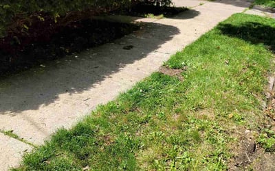 Photo of Nathan S.'s yard after getting landscaping in Lodi, WI