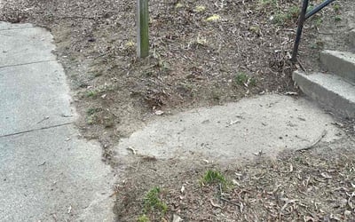 Photo of John P.'s yard after getting landscaping in Ford, VA