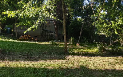 Photo of Alexis G.'s yard after getting landscaping in Latonia, KY