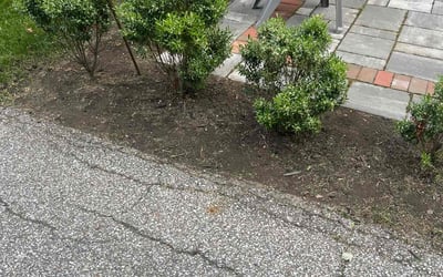 Photo of Ryan G.'s yard after getting landscaping in Somerset, OH